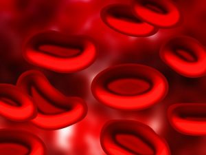 Globulos rojos hemofilia